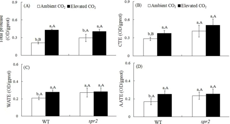 Figure 5. Activities of digestive proteases in the guts of H. armigera that fed for 2 days on tomato genotypes grown under ambient and elevated CO 2 