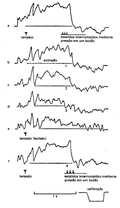 Fig.  19.  Continuação.