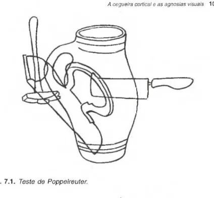 Fig.  7.1.  T e s te   d e   P o p p e lr e u t e r .