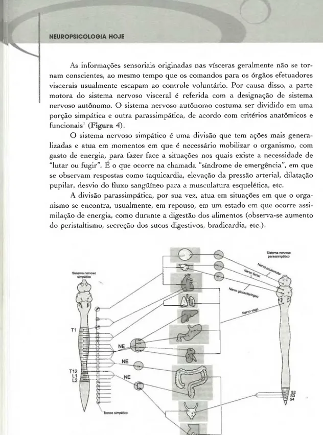Diagram a  da  inervação  visceral  pelo  Sistema  Nervoso  Sim pático  e  Parassim pático