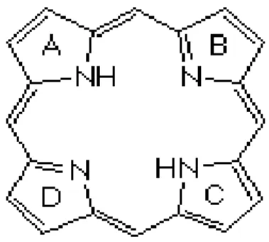 Figura 1 – Núcleo tetrapirrólico presentes nas porfirinas de plantas e animais  (Porphyrin – Wikipedia, the free encyclopedia)