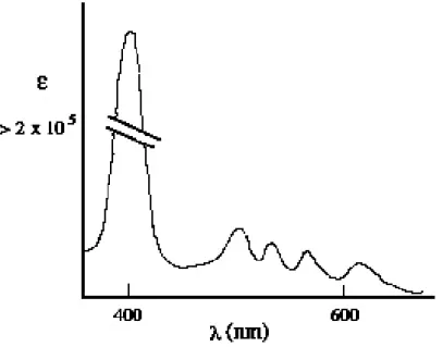 Figura 3 – Espectro de absorção de luz típico das porfirinas (Van Hillegersberg et al.,  1992) 