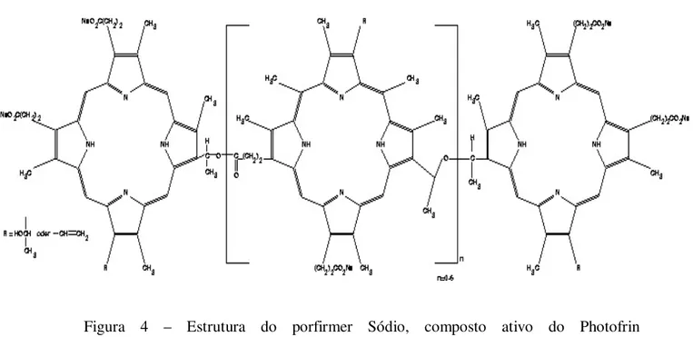 Figura 4 – Estrutura do porfirmer Sódio, composto ativo do Photofrin  (http://www.accessdata.fda.gov/scripts/cder/onctools/summary.cfc?ID=145)