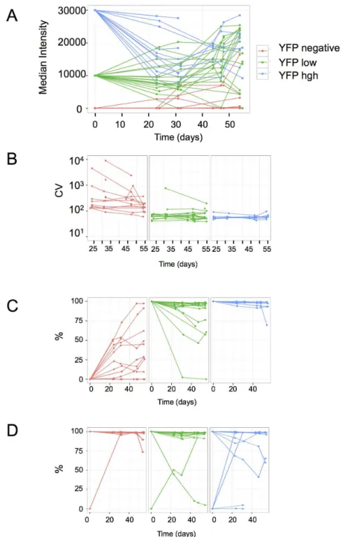Fig. 2. Evolution of the fluorescence level and variation in sub-clones. A. Evolution of the median YFP fluorescence level in populations derived from high- (blue line), low- (green line) and non-fluorescent (red line) founder cells