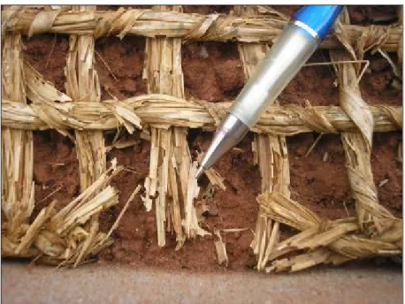 Fig. 18 – Vista parcial do processo de biodegradação do geotêxtil fornecendo matéria orgânica para o solo  no início do monitoramento