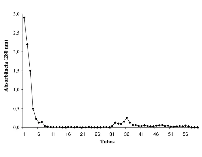 Figura 1. Cromatografia de afinidade em coluna de Agarose-Jacalina utilizando o extrato salino total de formas metacestódeas de T