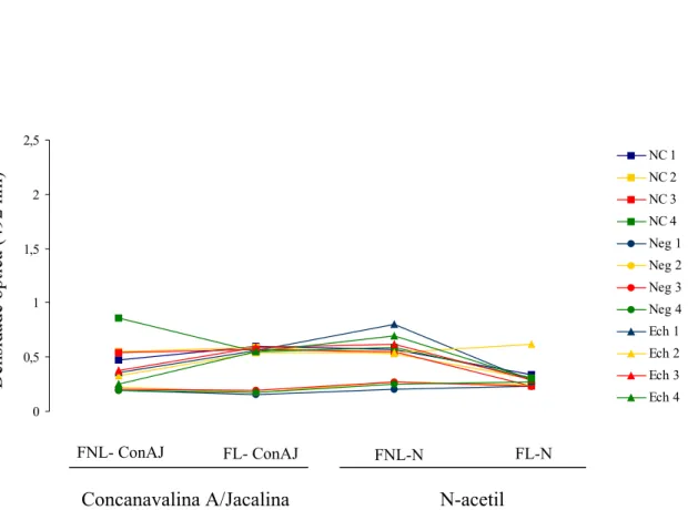 Figura 7. Níveis de IgG sérica anti-metacestódeos de T. solium por ELISA frente aos diferentes extratos obtidos a partir do extrato salino total de metacestódeos de T.