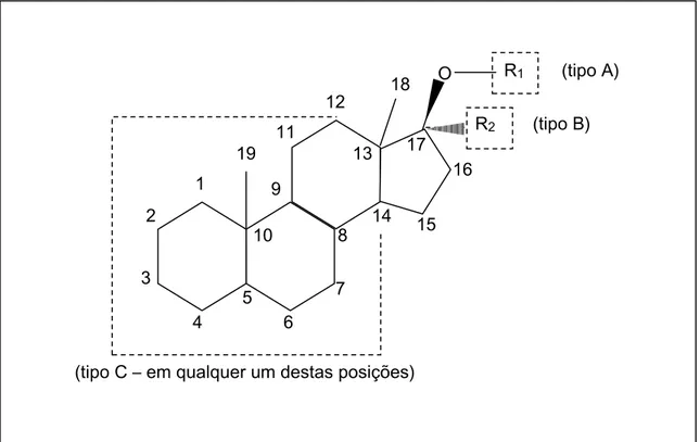 Figura 1.1 – Estrutura comum à maioria dos esteróides derivados sintéticos da  testosterona, com indicação das posições na molécula onde se encontram os  tipos  de  variações  (A,  B  e  C)  das  diferentes  classes  de  esteróides  anabolizantes (adaptado