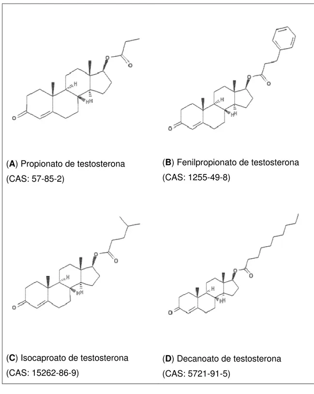 Figura 1.3. Estruturas químicas dos esteróides anabólico-androgênicos (EAA)  constituintes  do  Durateston ®   (DUR):  Propionato  de  testosterona  (A); 