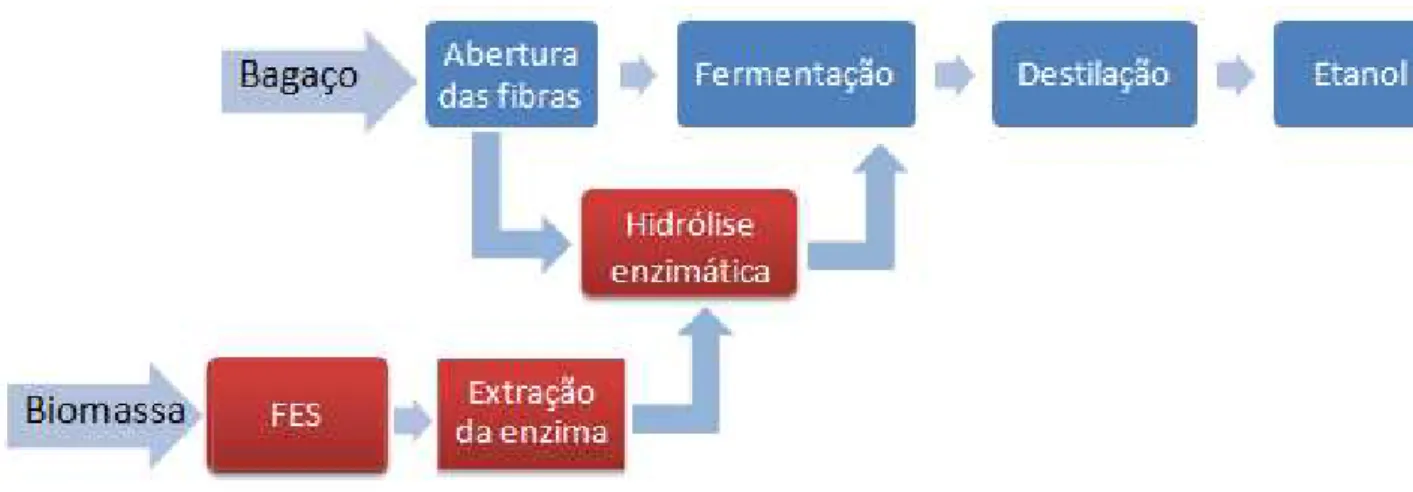 Figura 2.10 – Principais processos utilizados para a produção de etanol celulósico com  destaque para a hidrólise enzimática