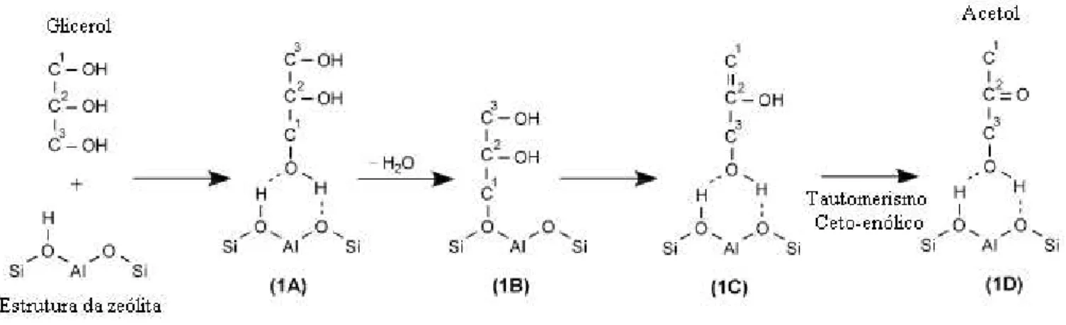 Figura  2.17:  Mecanismo  de  desidratação  do  glicerol  para  produção  de  acetol  proposto  por  YODA; OOTAWA 2009