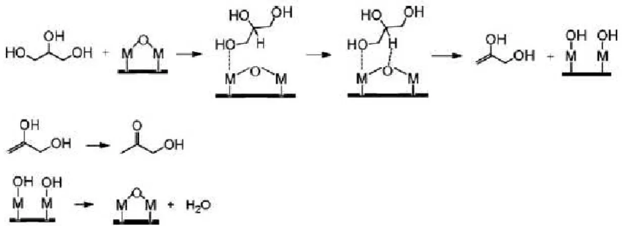 Figura 2.20: Mecanismo reacional da reação de desidratação do glicerol sob sítios ácidos de  Lewis, proposto por ALHANASH et al