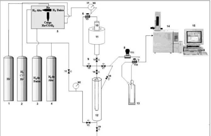 Figura 3.1 – Representação da unidade de testes catalíticos em reator de leito fixo. 