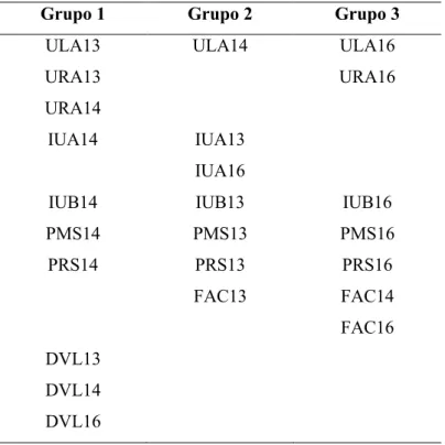 Tabela 2: Grupos obtidos por meio da Análise de Clusters, pelo K-Medias. 