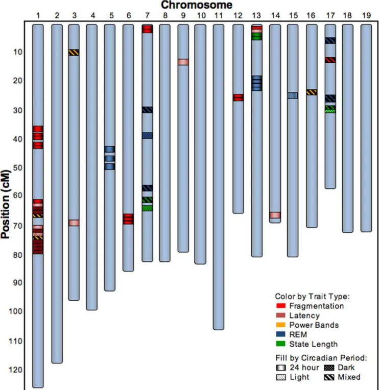 Figure 1. 52 QTL for 20 sleep-wake traits. 52 QTL shown by chromosome and cM positions that were identified for each of the sleep-wake traits listed in Table 1