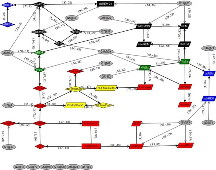 Figure 2. QTL and Sleep-wake Trait Network Analysis. Bayesian network of sleep traits and significant QTL