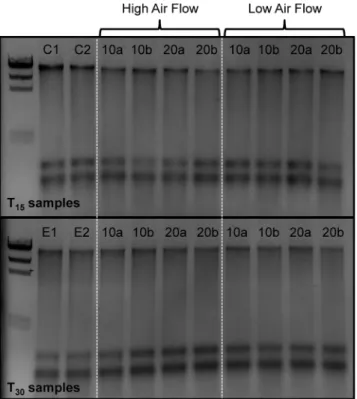 Fig 1. Agarose gel of DNA/RNA extracts from the laboratory samples preserved with BioDry