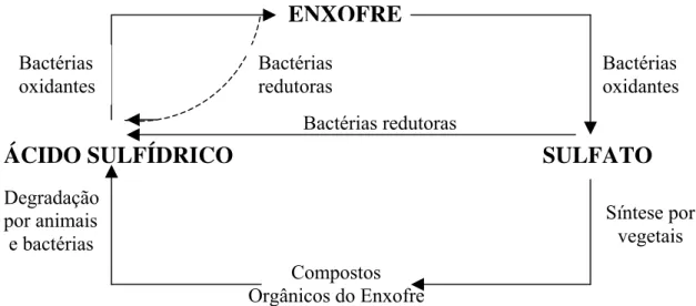 Figura 2.5 - O ciclo do enxofre na natureza.  