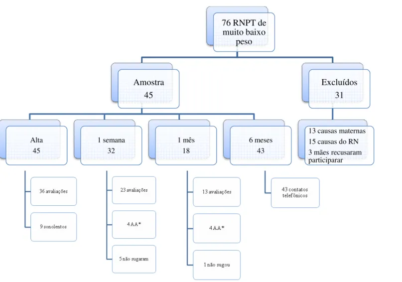 Figura 2 - Fluxograma das duplas mães/RNP Uberlândia, 15 de novembro de 2008 a 14 de n