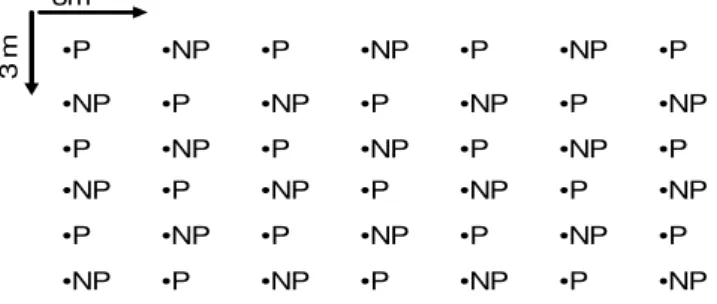 Figura 5. Croqui da distribuição das espécies pioneiras (P) exigentes de luz e não  pioneiras (NP) de sombra parcial (intermediária) alternadas na linha e na coluna.