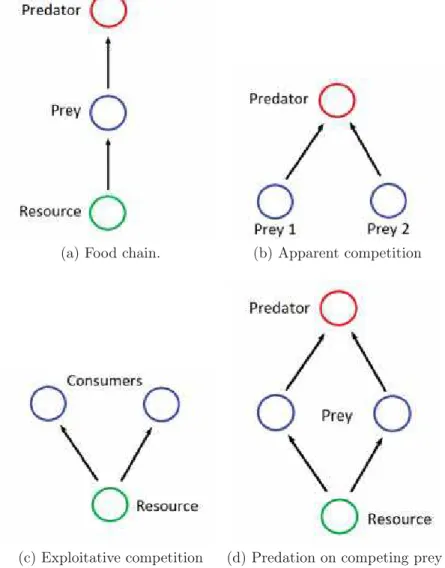 Figure 1.1: Examples of community modules. Each circle represents a species population