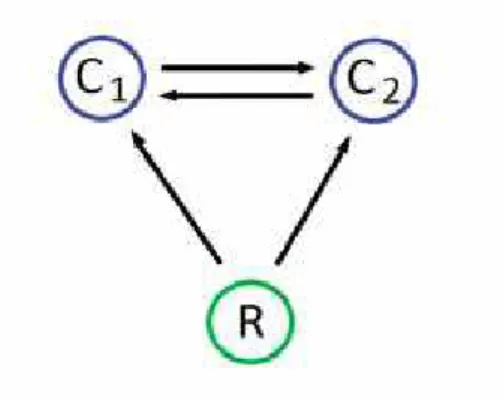 Figure 1.3: Symmetric IGP. Competitors, C 1 and C 2 , engage in mutual predation.