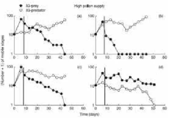 Figure 3.3: Population dynamics of I. degenerans, N. cucumeris and pollen for a high level pollen supply.