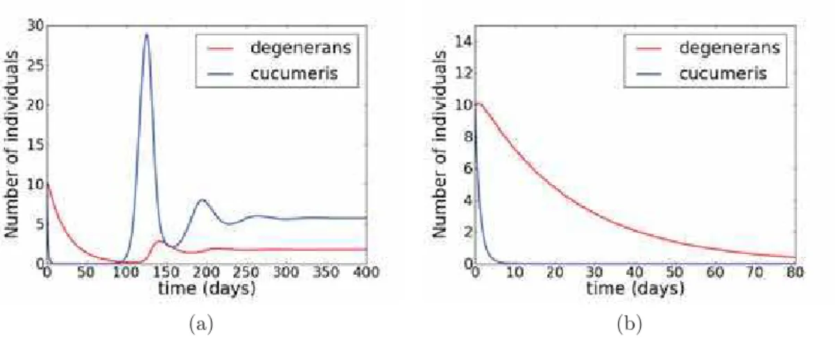 Figure 4.4: Dynamics of N. cucumeris and I. degenerans at intermediate pollen supply. a) complete dynamics