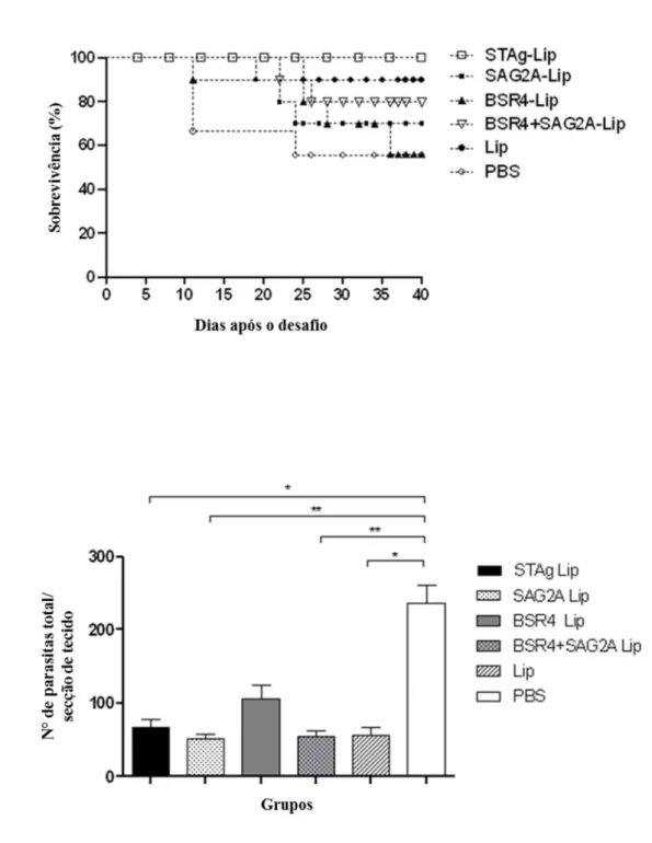 Figura  4.  Curvas  de  sobrevivência  e  carga  parasitária  cerebral  de  camundongos  C57BL/6  após  desafio  com  Toxoplasma gondii