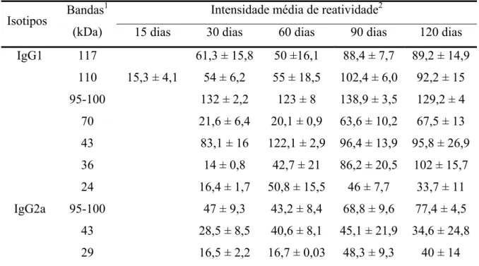 Tabela 5. Intensidade média de reatividade de IgG1 e IgG2a específicas com as bandas imunodominantes na  infecção experimental dos C