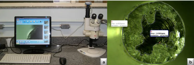 Figura 8: a)Lupa Estereoscópica;b) Exemplo de imagem gerada pela lupa estereoscópica e de  como foram realizadas as medidas da área de penetração no software