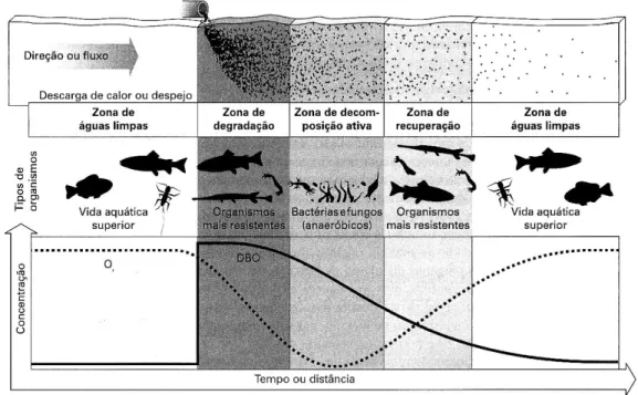 Figura 8 - Estágios de sucessões ecológicas divididas em zonas fisicamente identificáveis nos rios