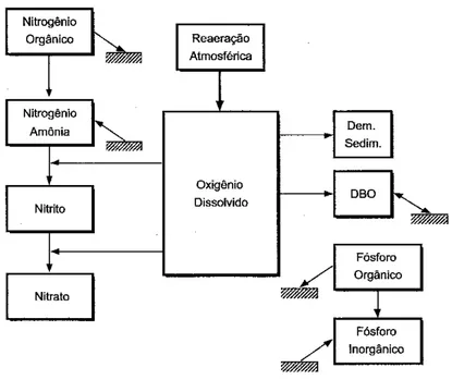 Figura 12 - Representação esquemática dos constituintes simulados no modelo QUAL-UFMG e de  suas interrelações