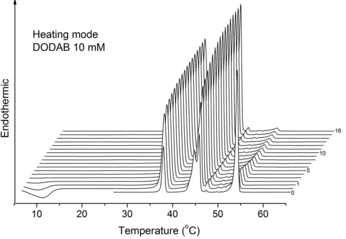 Figure 3. Heating thermograms of a 10 mM DODAB dispersion. Sequence of selected heating thermograms for DODAB 10 mM in water, obtained for T i = 25uC using null pre-scan time, or T i = 1uC using pre-scan times 0, 1, 2, 3,…, 16 h, as indicated