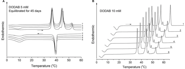 Figure 2A depicts a series of heating and cooling thermograms for a fresh aqueous dispersion of DODAB at 0.1 mM