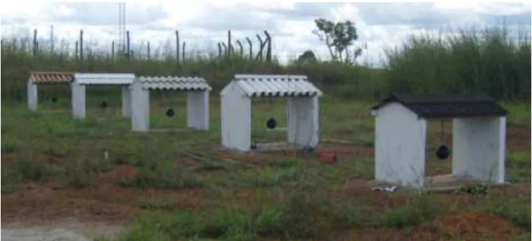 FIGURE 1. Reduced models with the respective roofing installed. 