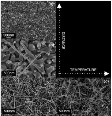 TABLE I. Complete set of parameters used for the evaporation process of indium oxide nanowires.