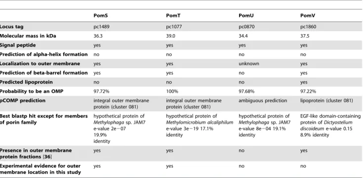 Table 1. Members of the putative porin family of P. amoebophila are predicted to be localized to the outer membrane by in silico analysis.