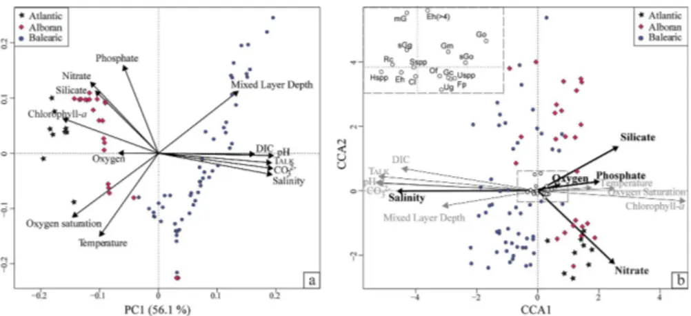 Figure 3. Multivariate analyses. (a) PCA based on the initial thirteen environmental variables.