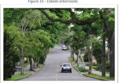 Figura 15 - Cidade arborizada.