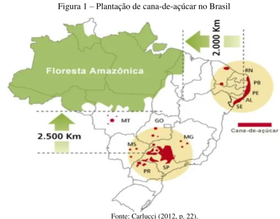 Figura 1 – Plantação de cana-de-açúcar no Brasil 