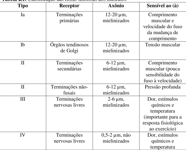 Tabela 2.1: Classificação das fibras sensórias dos músculos 