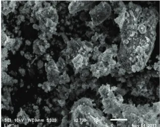 Figure 1. SEM micrograph of dried red mud.