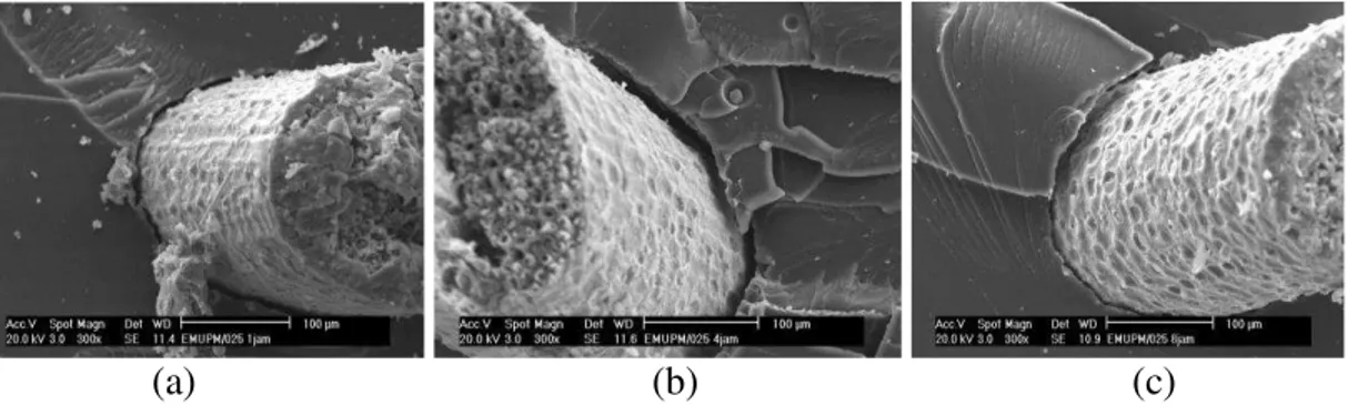 Figure 6: The surface of fibre for 1, 4 and 8 hours soaking time 