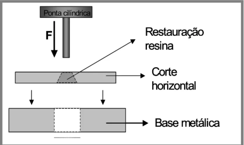Figura 6 – Esquema ilustrativo do aparato para os testes de “micropush-out”. 