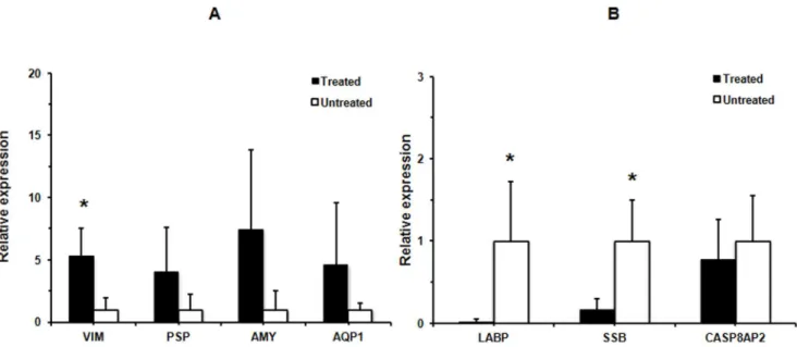 Figure 4. Relative gene expression of TNFa, TGFb1, IGFR, EGF, NGF, VEGF, BMP7 and AQP5 in the SMGs of the BM SOUP-treated NOD mice (n = 4) versus the untreated NOD mice (n = 4)