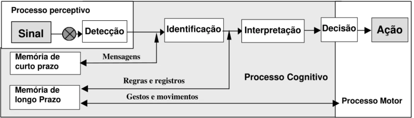 Figura 7 : Processo perceptivo, cognitivo e motor  (Gagné, 1966, modificado por Vidal, 2000)
