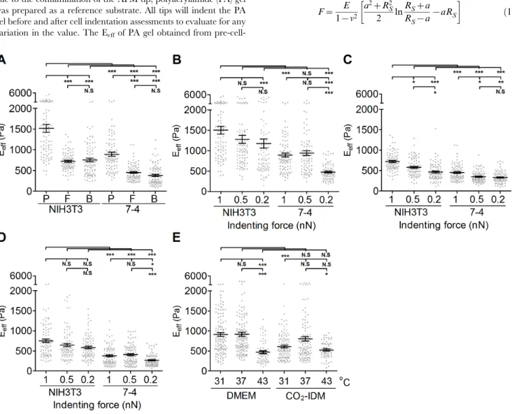 Figure 2. The effect of AFM tip shape, indenting force at the same loading rate, and operating temperature on the effective Young’s modulus of cells