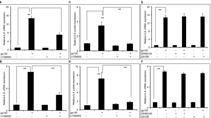 Figure 2. HIV-1 gp120–mediated induction of IL-6 and IL-8 involved the PI3K/Akt pathway