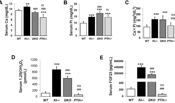 Figure 1. Macroscopic phenotype of 6-wk-old mice. (A) Overall phenotype of littermates